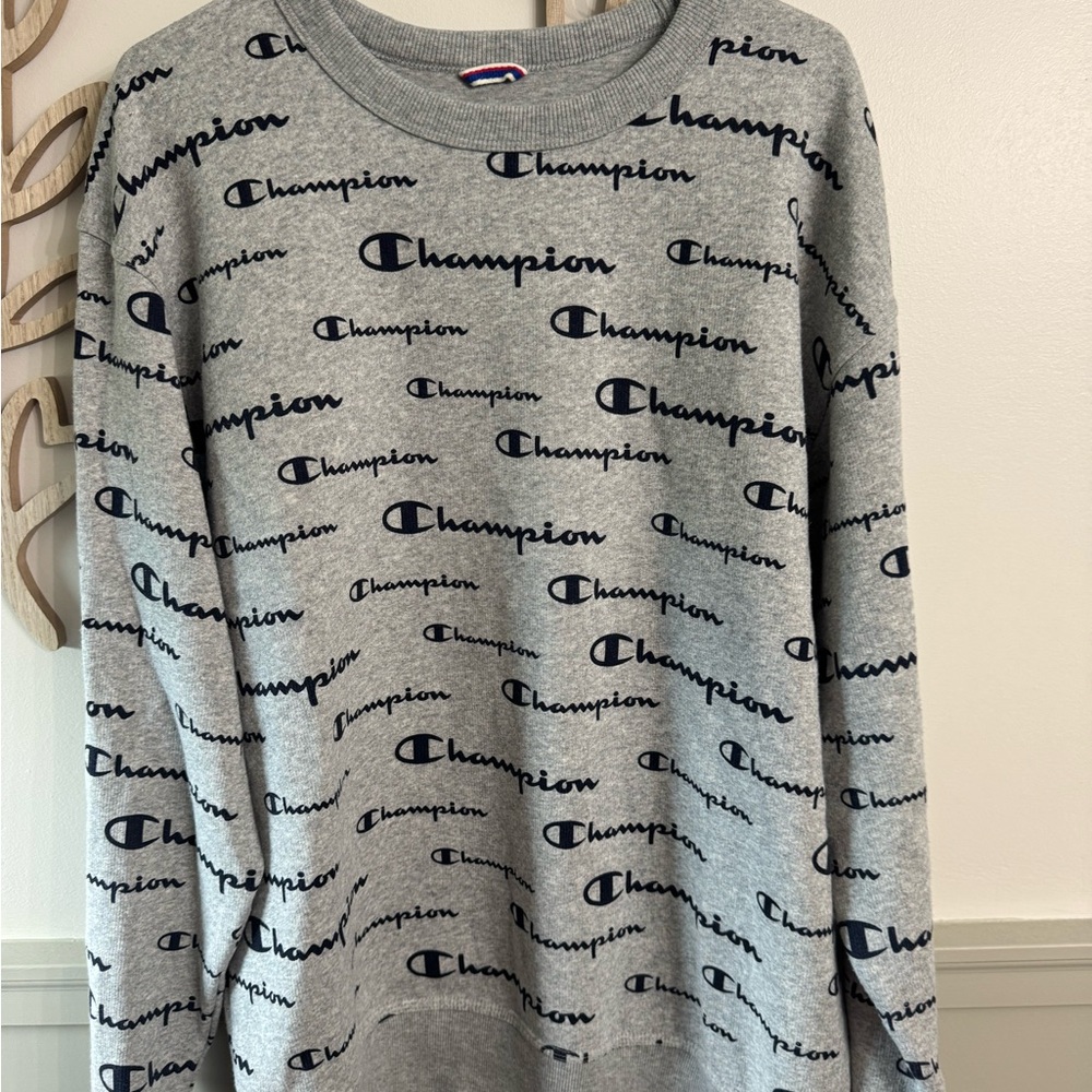 Champion Men's Crewneck Sweater in Gray